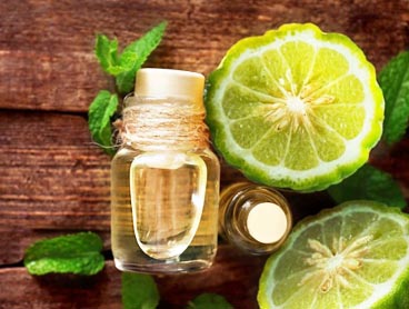 Bergamot Essence oil wholesale