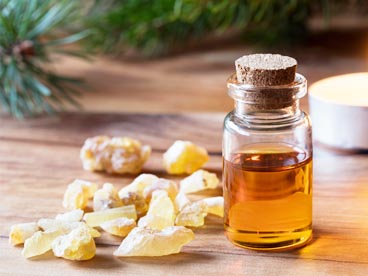 Frankincense Essence oil wholesale