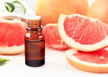 Grapefruit Essence oil wholesale