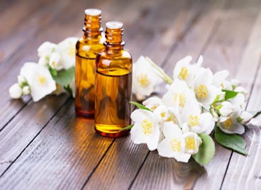 Jasmine Essence oil wholesale