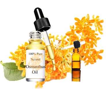 Osmanthus Essential oil OEM / ODM