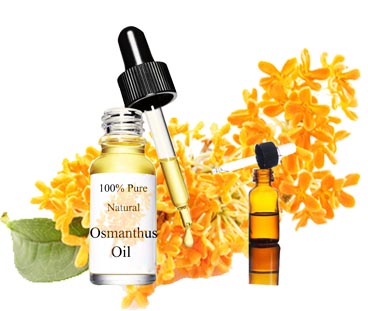 Osmanthus essence oil atacado