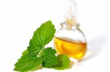 Patchouli Essence oil wholesale