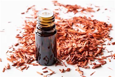 Sandalwood Essence oil wholesale