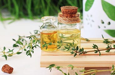 Thyme Essence oil wholesale
