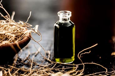 Vetivert Essence oil wholesale
